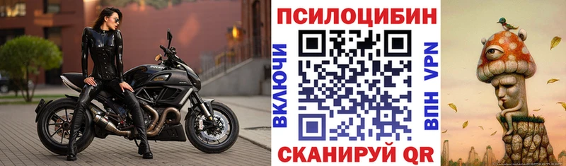 Псилоцибиновые грибы мицелий  Комсомольск 